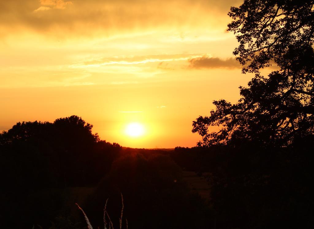 Gites A L'Ombre Des Chenes Châteauvieux Szoba fotó