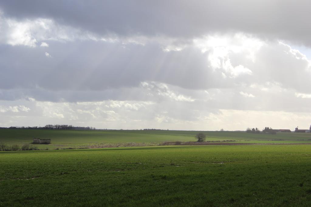 Gites A L'Ombre Des Chenes Châteauvieux Kültér fotó