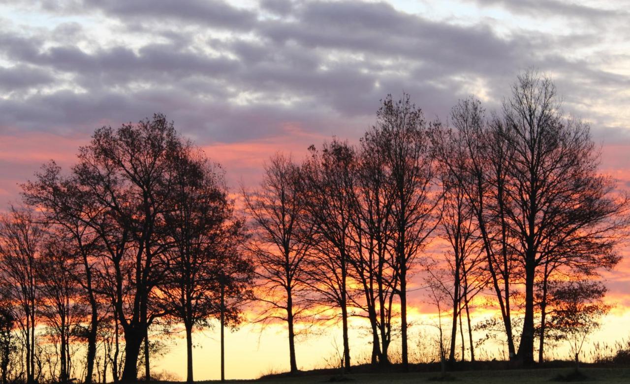 Gites A L'Ombre Des Chenes Châteauvieux Kültér fotó